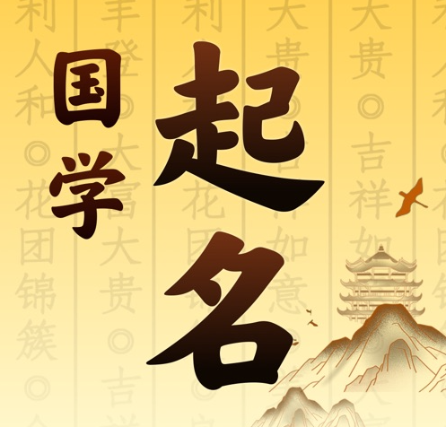 茂县国学起名 人工起名一对一